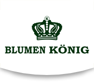 Blumen König Aurich